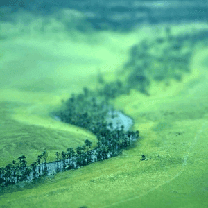 Dryland Ecohydrology